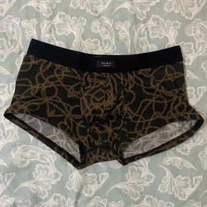 ZARA Trunks
